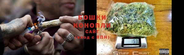 молекула духа Мегион