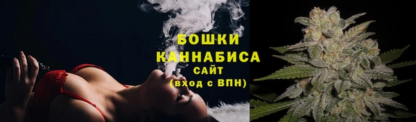 Альфа ПВП Кулебаки