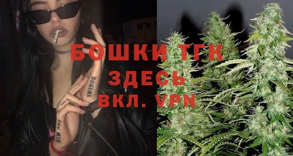 Альфа ПВП Кулебаки